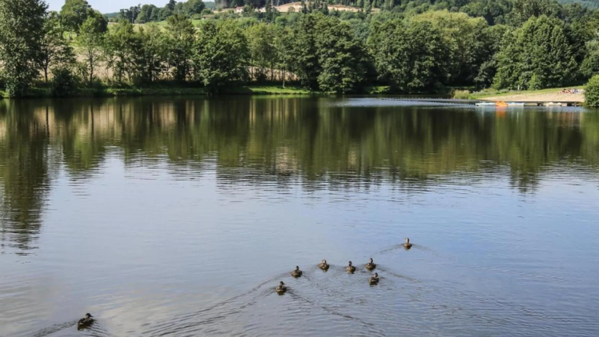 Holiday home Gite Cosy 1 Ch. Avec Jardin, Animaux Admis, Rando Et Patrimoine Aux Monts Du Forez - Fr-1-496-45 Merle-Leignec