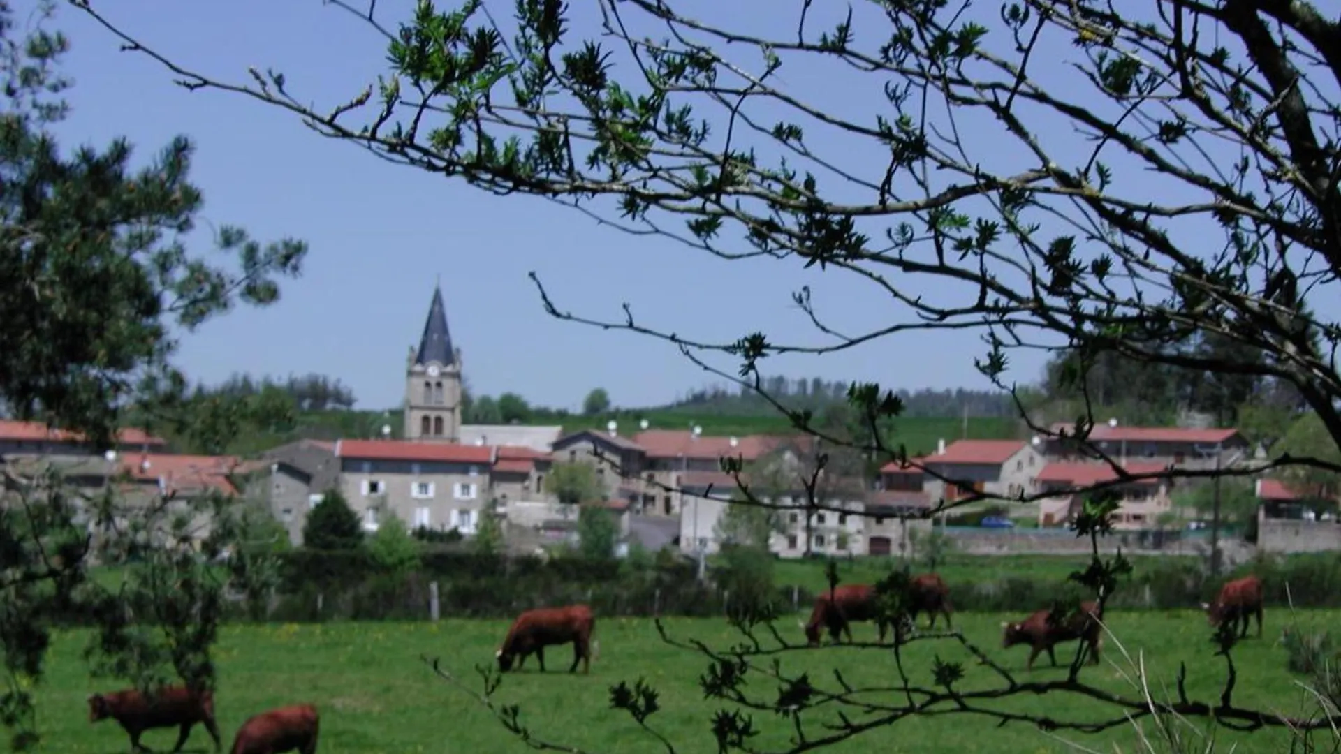 Gite Cosy 1 Ch. Avec Jardin, Animaux Admis, Rando Et Patrimoine Aux Monts Du Forez - Fr-1-496-45 Merle-Leignec Holiday home