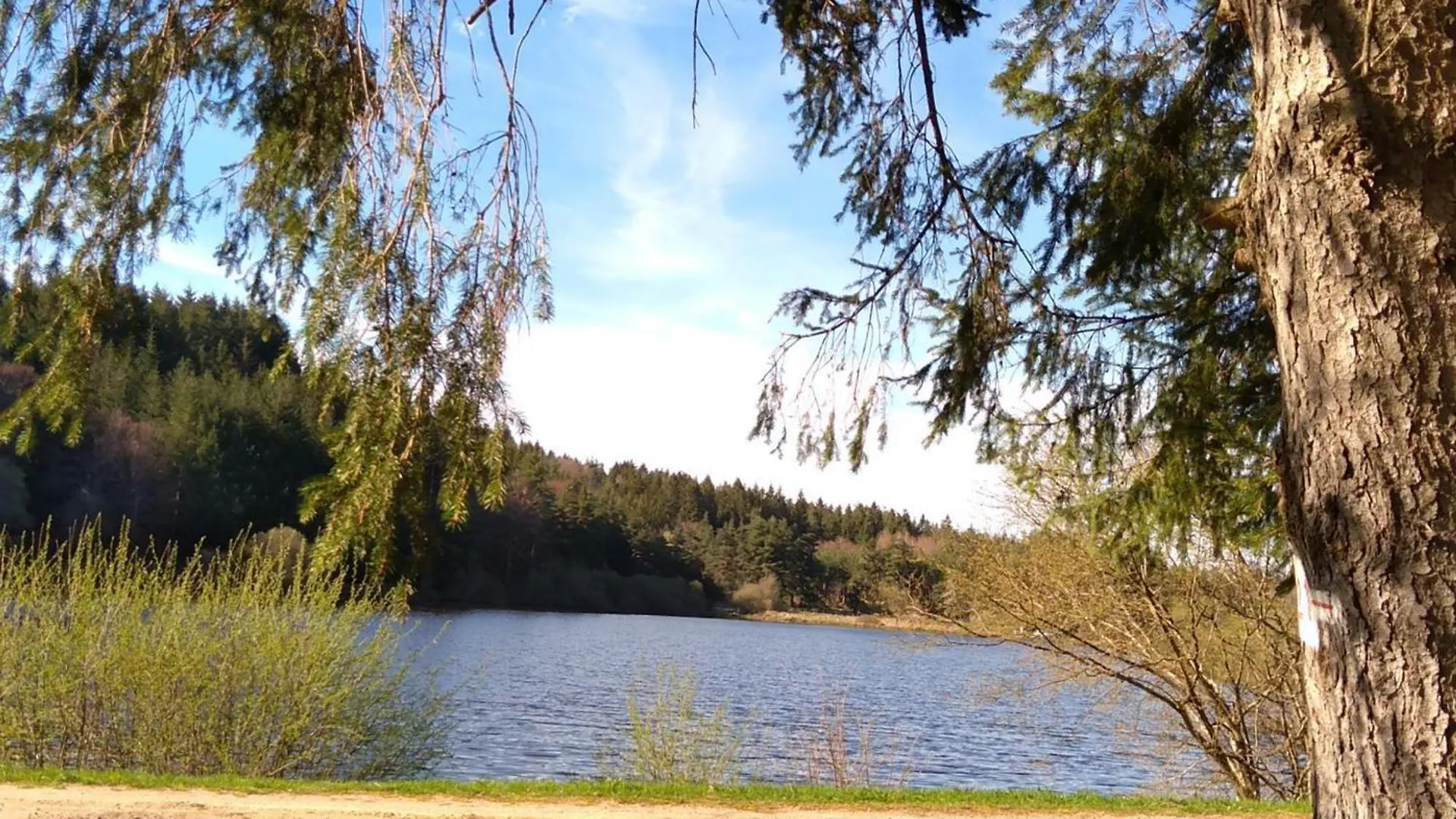 Gite Cosy 1 Ch. Avec Jardin, Animaux Admis, Rando Et Patrimoine Aux Monts Du Forez - Fr-1-496-45 Merle-Leignec